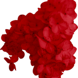 SS PinkPeppernint Elements (136)