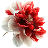 SS PinkPeppernint Elements (129)