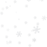 SS PinkPeppernint Elements (162)