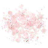 SS PinkPeppernint Elements (163)