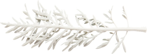 SS PinkPeppernint Elements (159).png