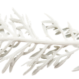 SS PinkPeppernint Elements (159)