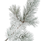 SS PinkPeppernint Elements (157).png
