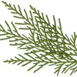 SS PinkPeppernint Elements (148)