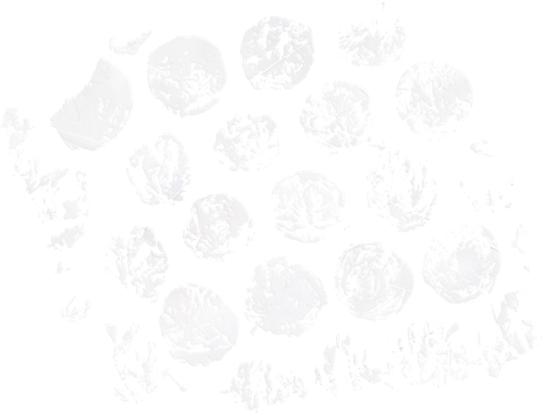 SS PinkPeppernint Elements (174).png