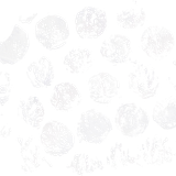 SS PinkPeppernint Elements (174)
