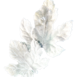SS PinkPeppernint Elements (160).png