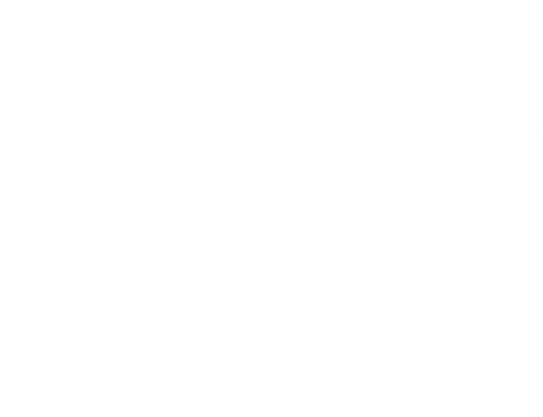 SS PinkPeppernint Elements (176).png