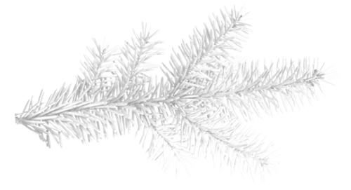 SS PinkPeppernint Elements (161).png
