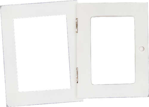 WS Frame (4).png