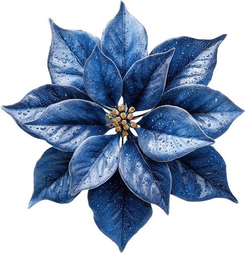 WS Element (120).png