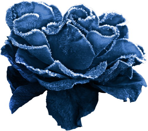 WS Element (117).png
