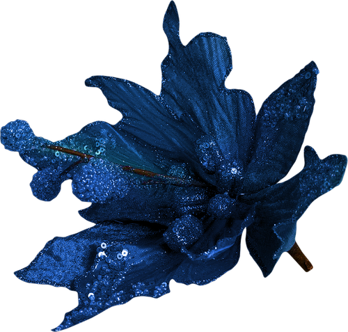 WS Element (115).png