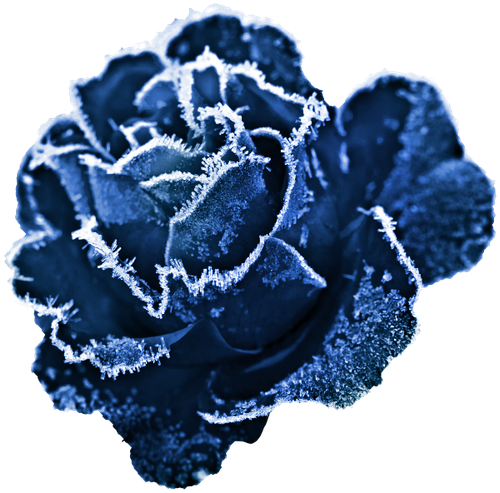 WS Element (118).png