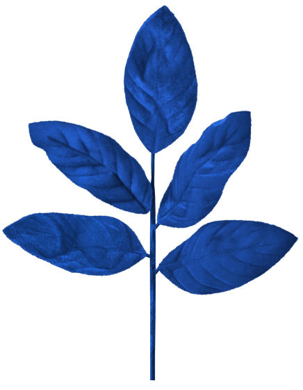 WS Element (126).png