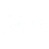 WS Element (150)