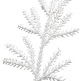 WS Element (124)