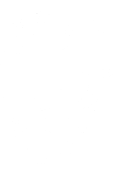 WS Element (140).png