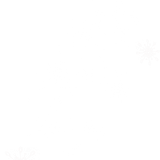 WS Element (157)