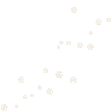 WS Element (158)