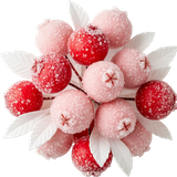 SS PinkPeppernint Elements (86)