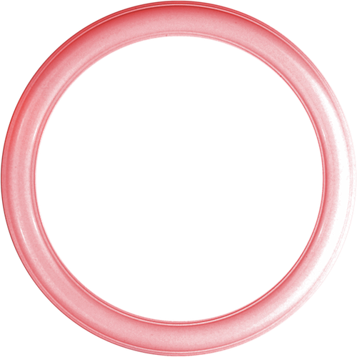 SS PinkPeppernint Frames (2).png