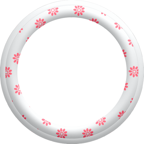 SS PinkPeppernint Frames (7).png