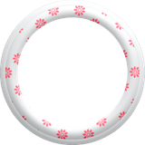 SS PinkPeppernint Frames (7)
