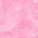 SS PinkPeppernint Papers (13)