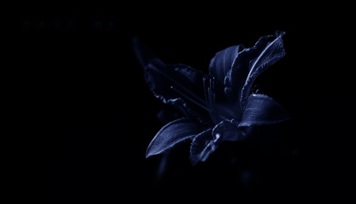 EA96AAB0 867D 46E3 91F4 DC1C0BE1DC6A.jpg