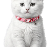 SS PinkPeppernint Elements (4).png