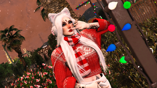 image3.png