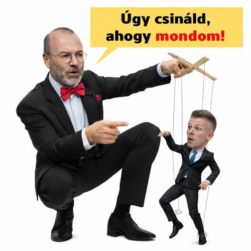 600895508 1158915749789336 7812426635534809553 n.jpg?stp=dst jpg p526x296 tt6& nc cat=101&ccb=1 7& n.jpg