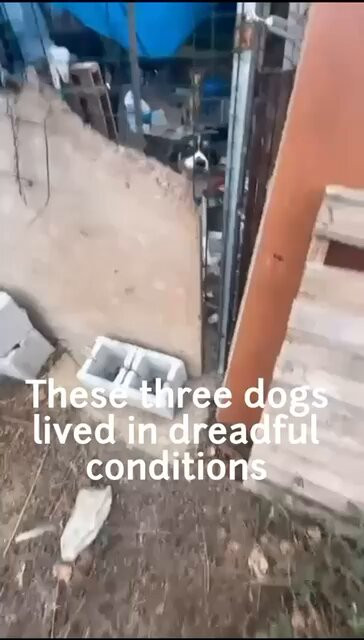 rrwECQO Vr 5t43d.jpg