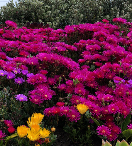 user 2B76D895 99C2 4876 BC8B 0378AD0CBBED.jpg