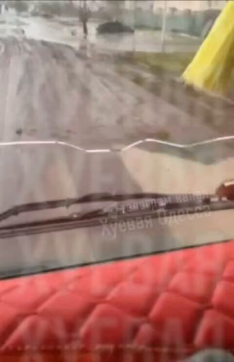 IqGXDMSf8LEn3cY .jpg