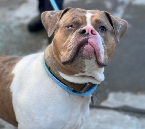 G8UN 5VXkAMnD0A?format=jpg.jpg