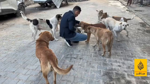 wgu5G avAtFvxh6N.jpg