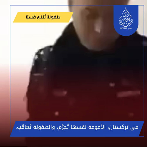 7NaX 0zXH4ZzlYTL.jpg