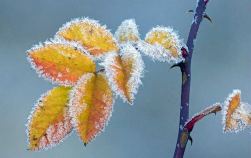 qA3axZ2jOEBEFyLnnk90q9p DSCdF1waEmTSraohqcZqtUhDKpD10EvOsKDnV7KV8WKzwtI XoRZweWgqF lzYv1bTDS bmpcXK3.jpg