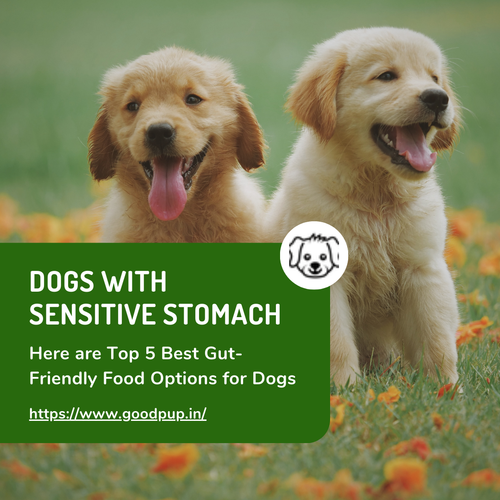 Dogs with Sensitive Stomach.png