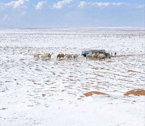 Yr bM95AJZsUZdg4gSGv6vxEds6DpTgmCSt6UcFid3g3SrN fiOhiWPWbd1033Ahu5rlwbRAlB1AduFj7BCe0bcseklF OW RxKZ.jpg