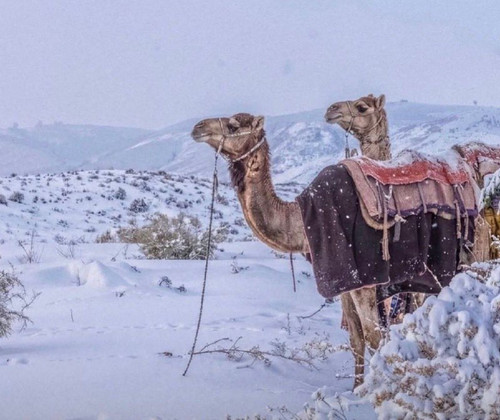 HsXECckllhZylulcP5D9ck1E7JCZNJAr1aIasGNjHeZBpJLs1 fEX Bv7ap4gT1POBcNw FavCM2WhaLeRwKD2fj7 4mSHcQLqWK.jpg