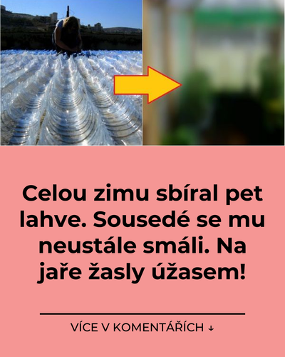 023 celou zimu sbiral pet lahve sousede se mu neustale smali na jare zasly uzasem.png