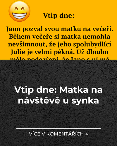 032 vtip dne matka na navsteve u synka.png