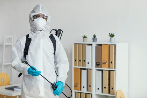 Best Pest Control Services in London -AlanCo Services.jpg