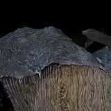 013 Radagast in Rhosgobel