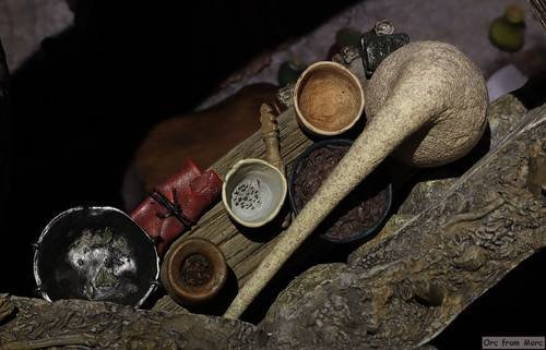 017 Radagast in Rhosgobel.jpg