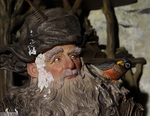 019 Radagast in Rhosgobel.jpg