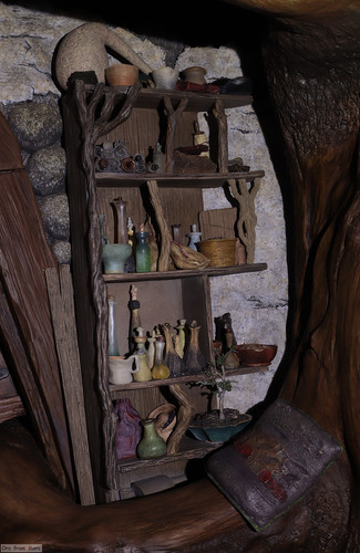 021 Radagast in Rhosgobel.jpg